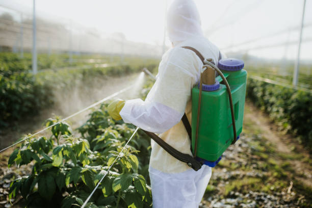 Wildlife Control Services in Syracuse, UT